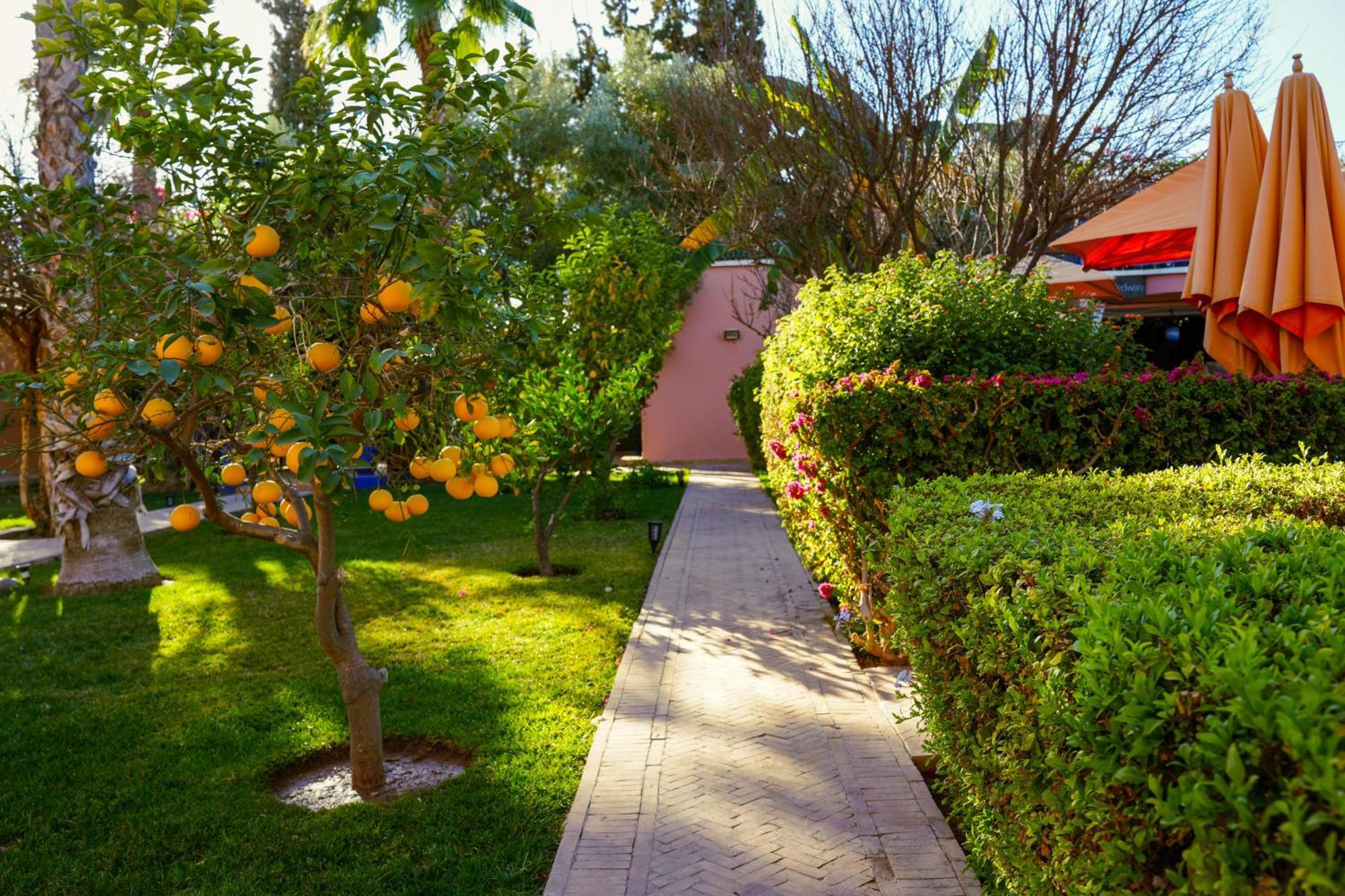 Riad Redwan Douar Caid Layadi Exterior photo